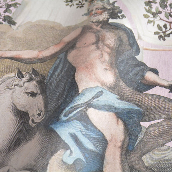 MINDTHEGAP / THE TRANSYLVANIAN MANOR / JOURNEY TO EDEN Pink WP20457