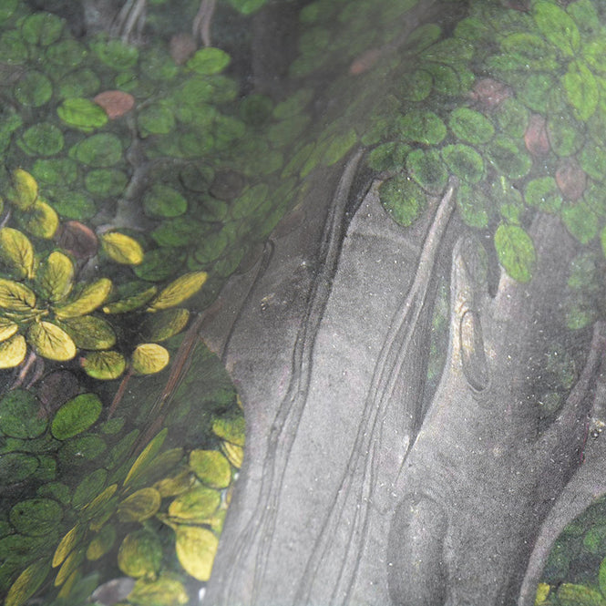 MINDTHEGAP / THE TRANSYLVANIAN MANOR / SAVAGE LEAVES WP20466