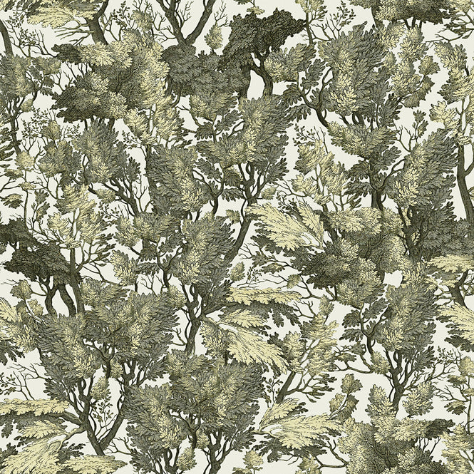 MINDTHEGAP / The Wallpaper Compendium / TREE FOLIAGE WP20481