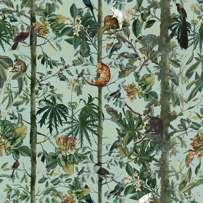 MINDTHEGAP / The Wallpaper Compendium / WILDLIFE OF PAPUA WP20528