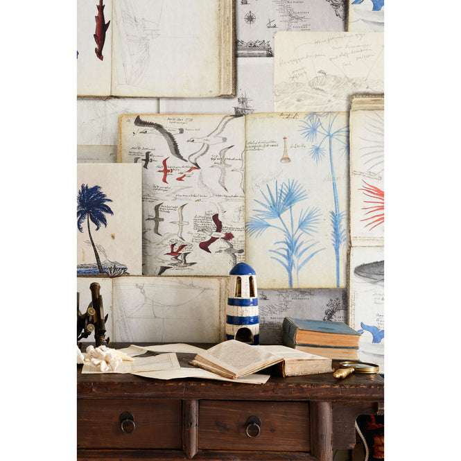 色違いの商品です