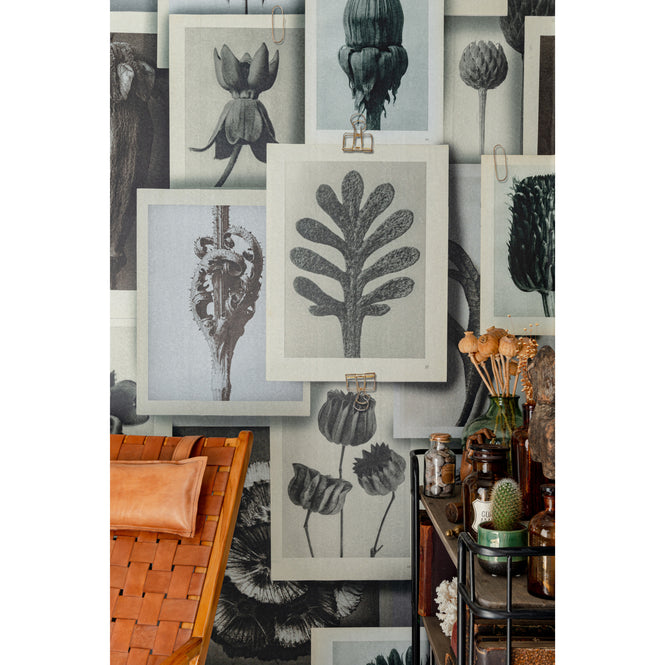 MINDTHEGAP / The Artist's House / BLOSSFELDT'S ART FORMS WP20595