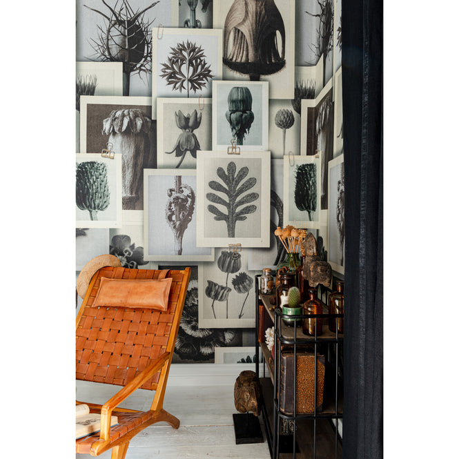 MINDTHEGAP / The Artist's House / BLOSSFELDT'S ART FORMS WP20595