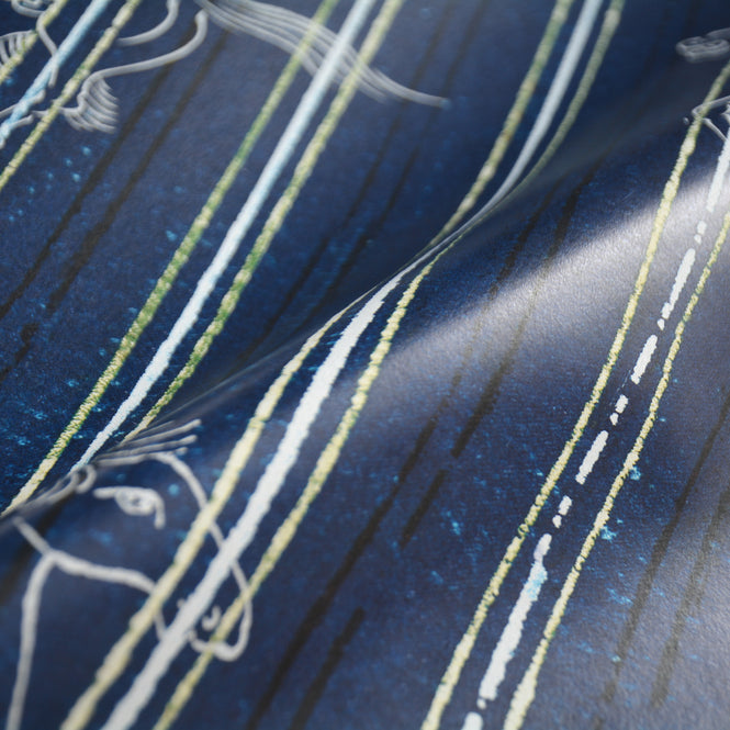 MINDTHEGAP / TRANSYLVANIAN ROOTS / A FABLE Indigo WP30003