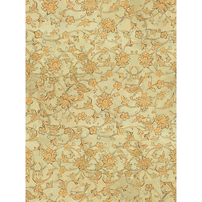 MINDTHEGAP / TRANSYLVANIAN ROOTS / BACKYARD FLOWERING Seacrest WP30005