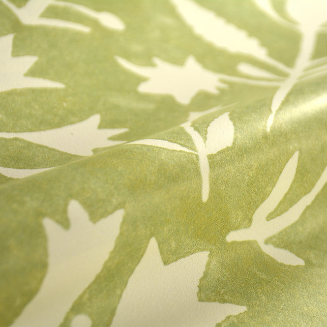 MINDTHEGAP / TRANSYLVANIAN ROOTS / TULIPAN Beechnut WP30032