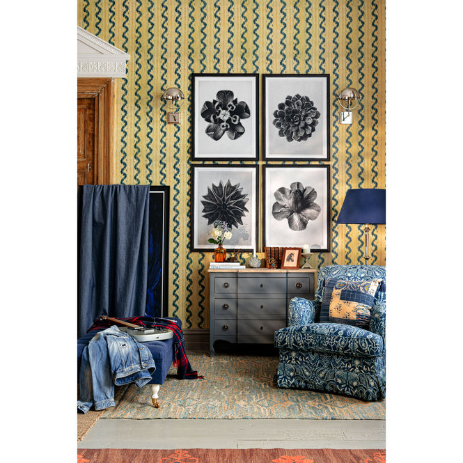 色違いの商品です