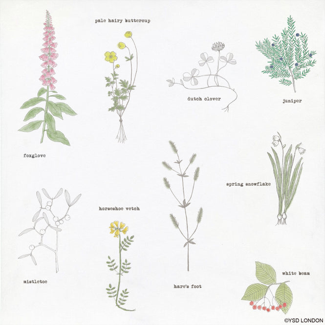 はがせる 壁紙 【Hattan Pattern】YSD LONDON / BOTANY HYSD-02(6枚セット)