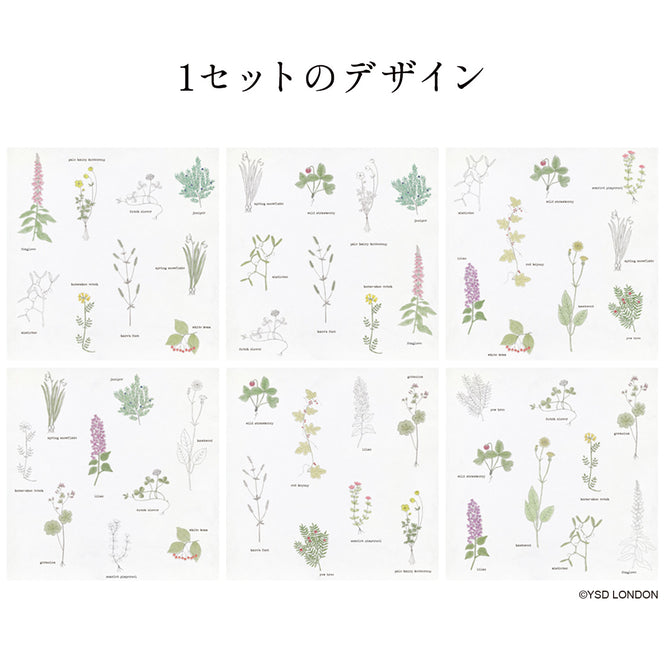 はがせる 壁紙 【Hattan Pattern】YSD LONDON / BOTANY HYSD-02(6枚セット)