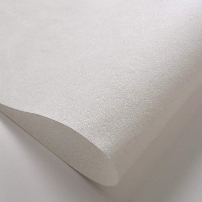 はがせる 壁紙 【Hattan Pattern】YSD LONDON / STELLA タフタ HYSD-21(6枚セット)